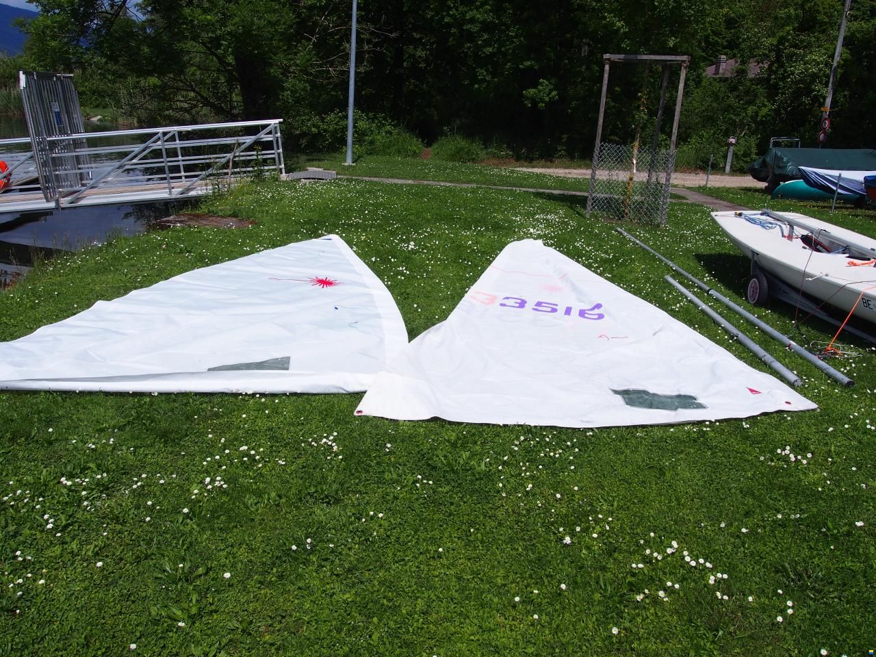 Laser Standard / Radial