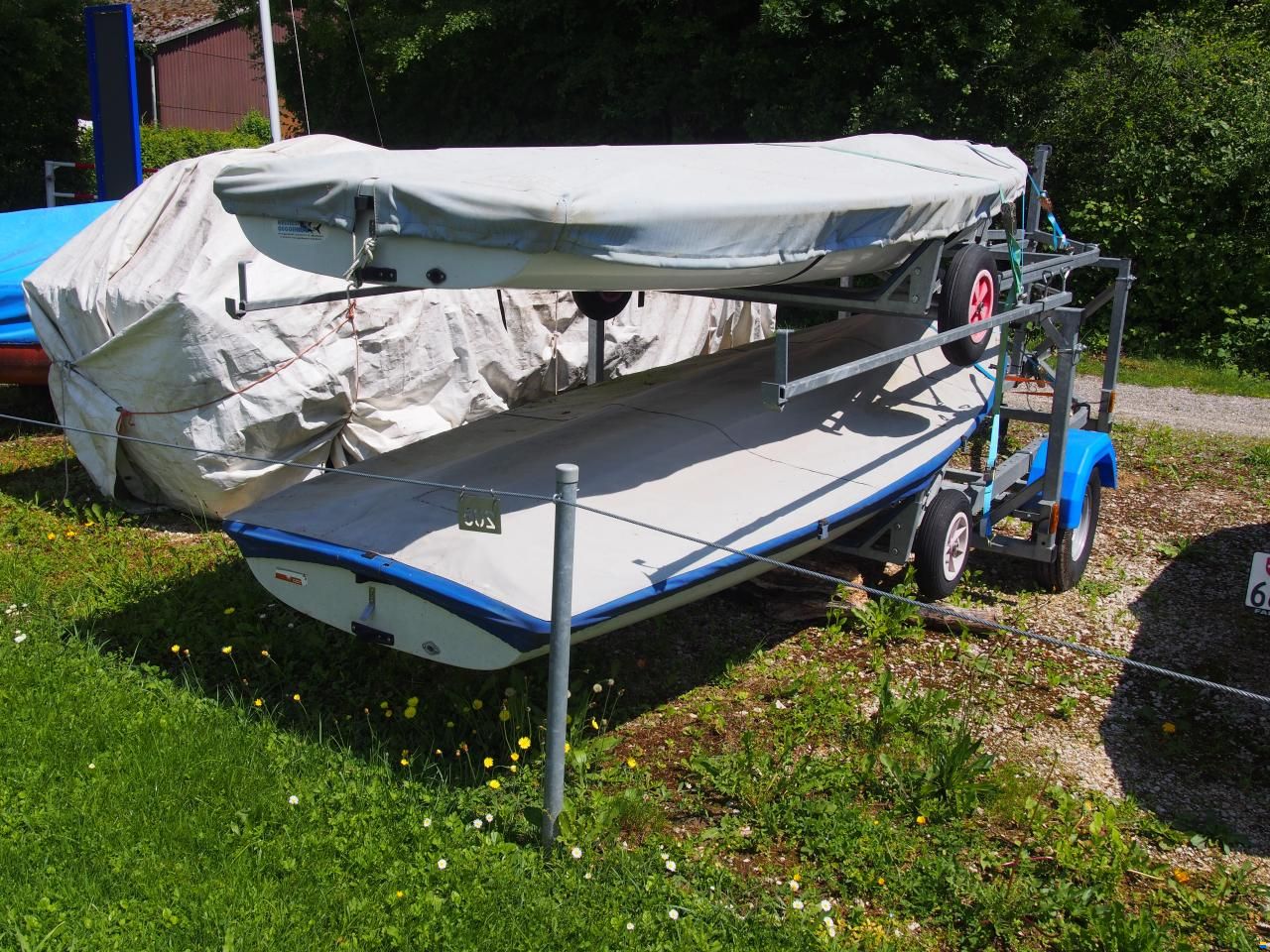 Laser Standard / Radial