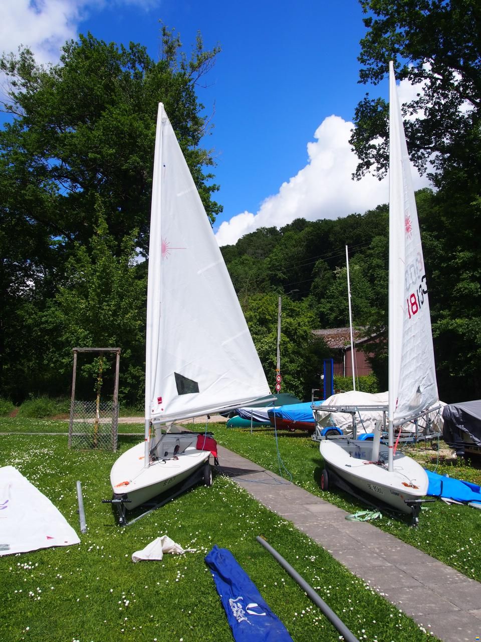 Laser Standard / Radial