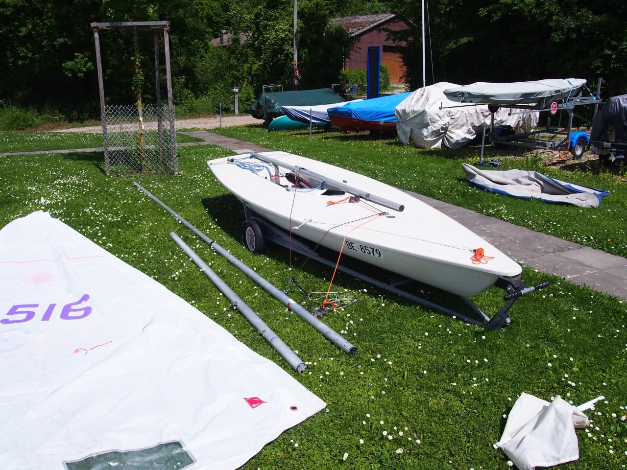 Laser Standard / Radial