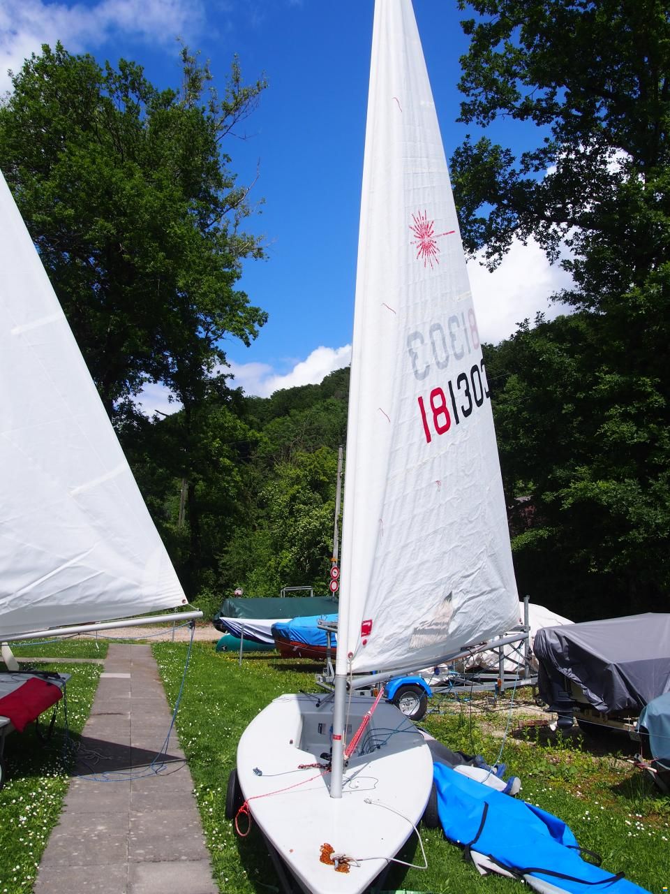 Laser Standard / Radial