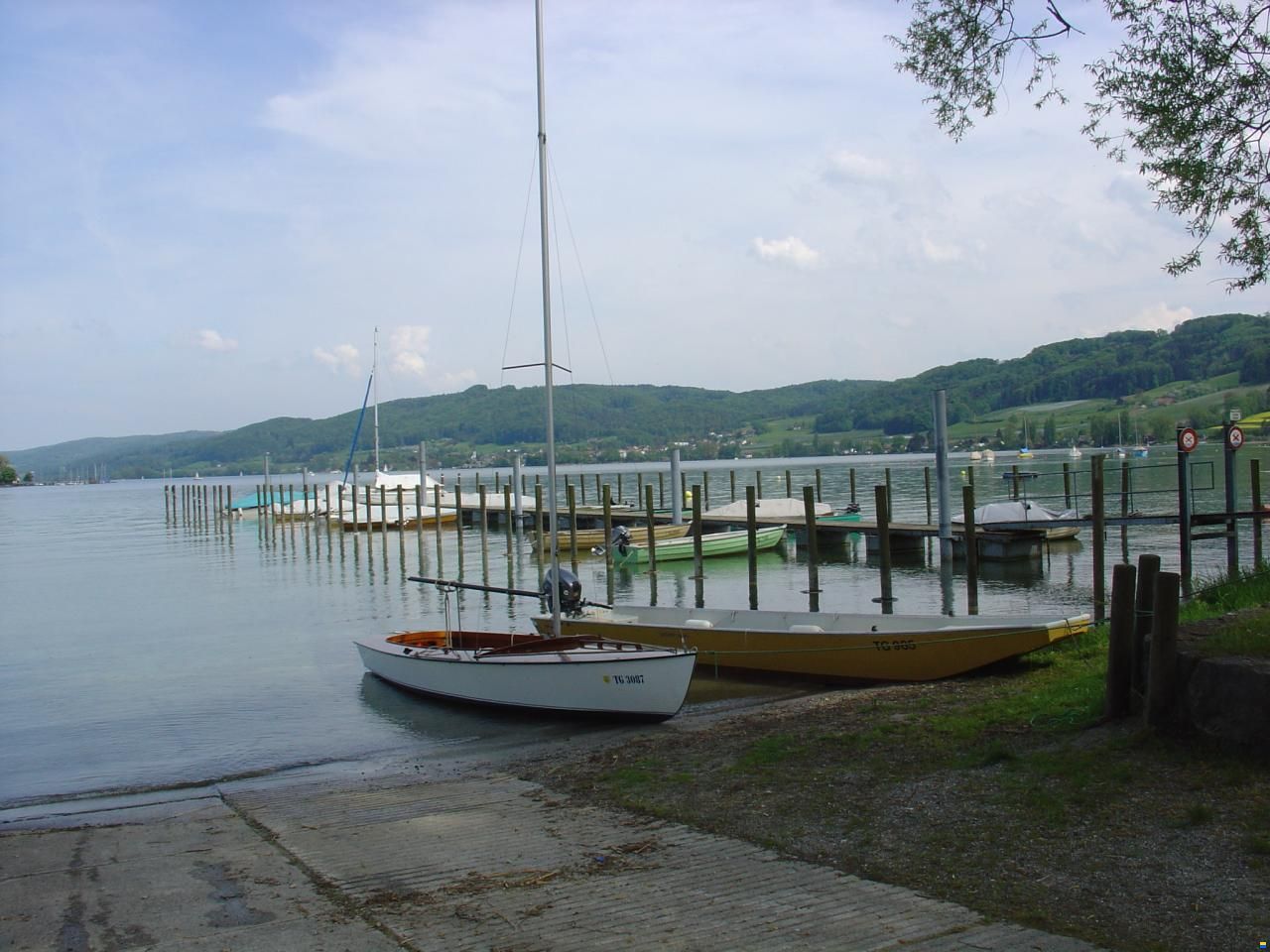 Schwertzugvogel Blaser Altnau