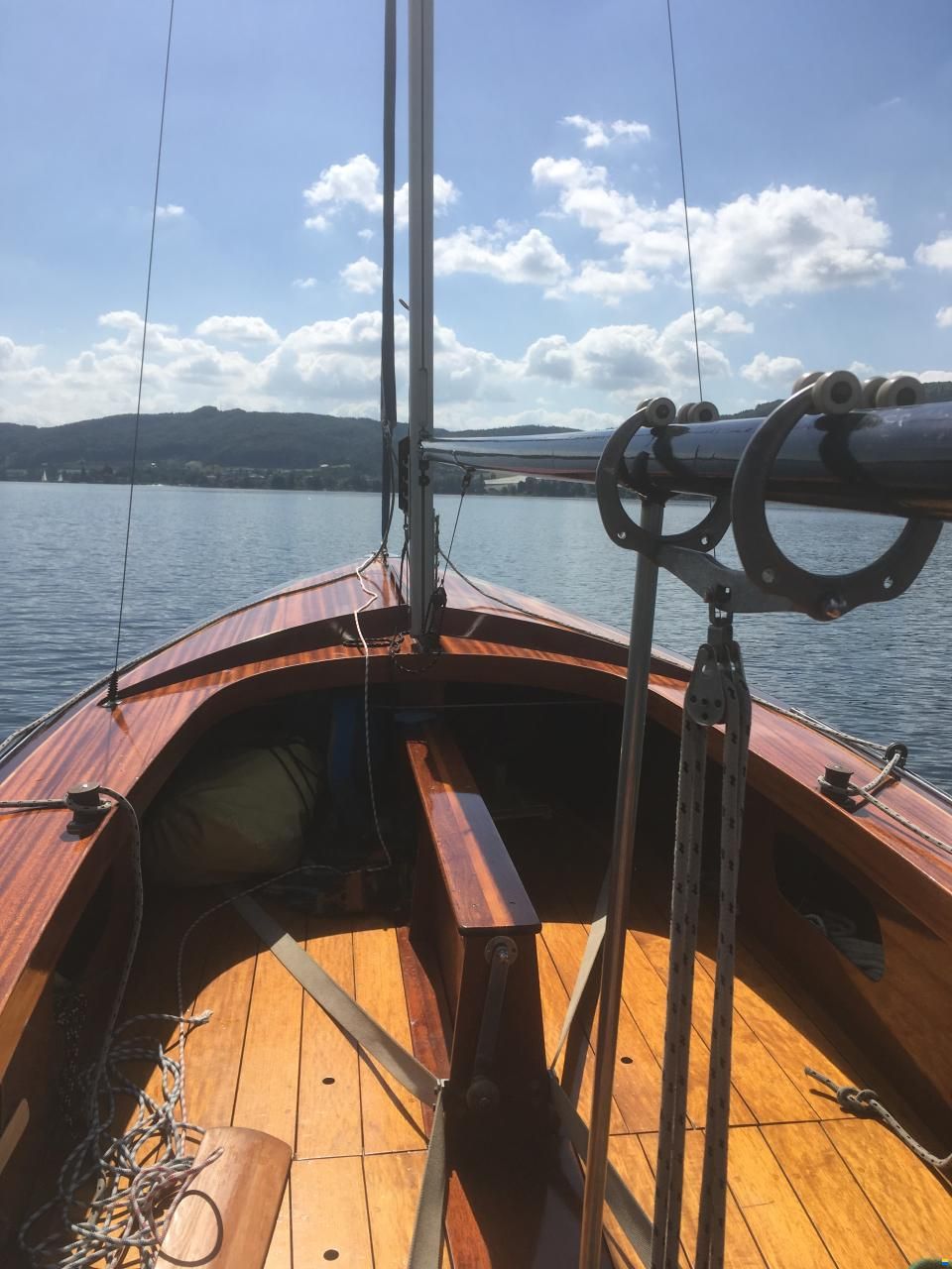 Schwertzugvogel Blaser Altnau