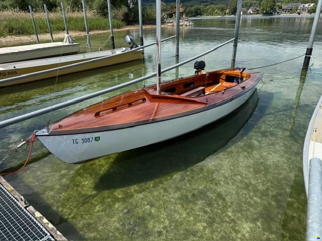 Schwertzugvogel Blaser Altnau