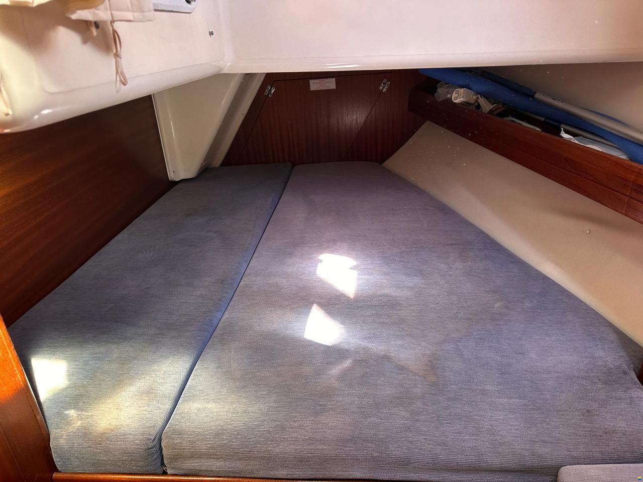 Bavaria 50