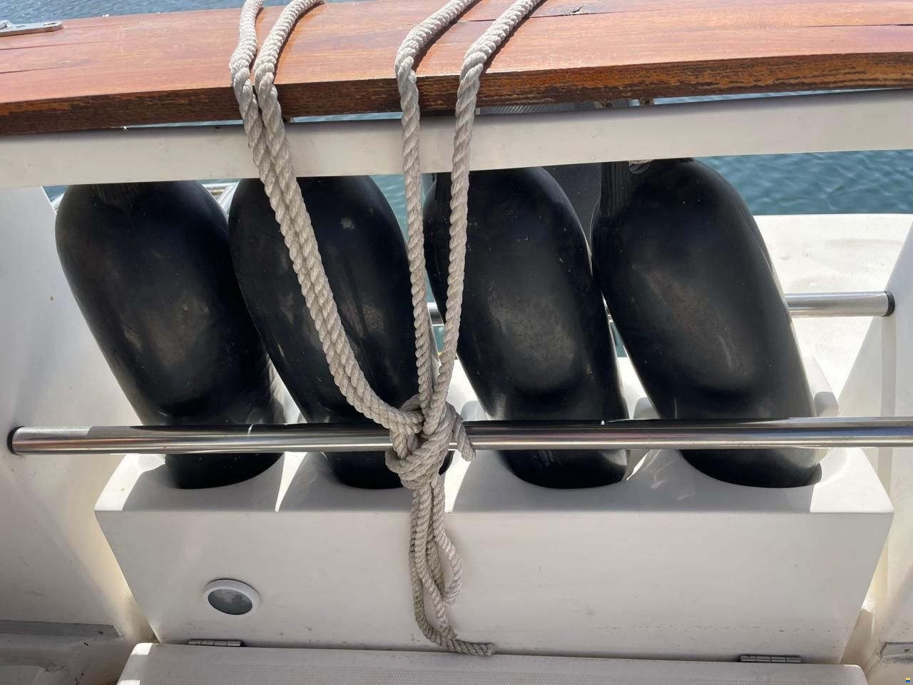 Rio 600 Cabin Fish