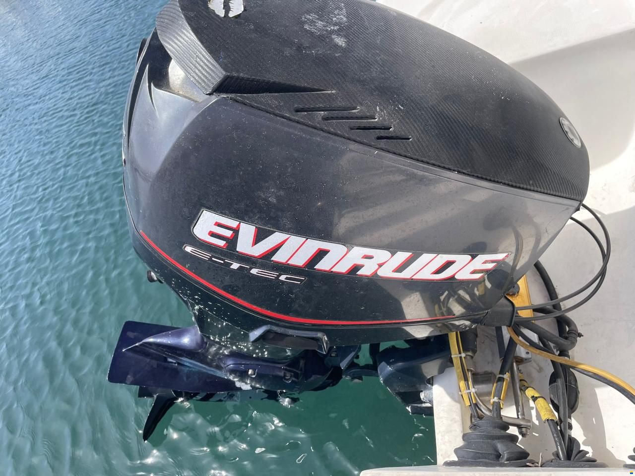 Rio 600 Cabin Fish