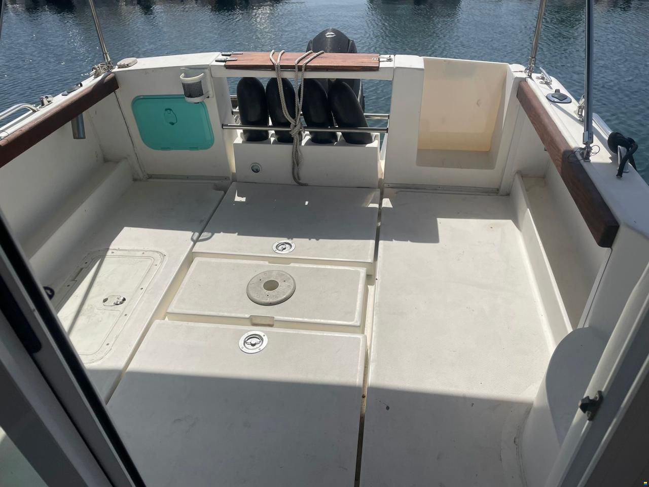 Rio 600 Cabin Fish