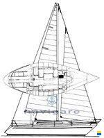 Zuanelli MILLER 31