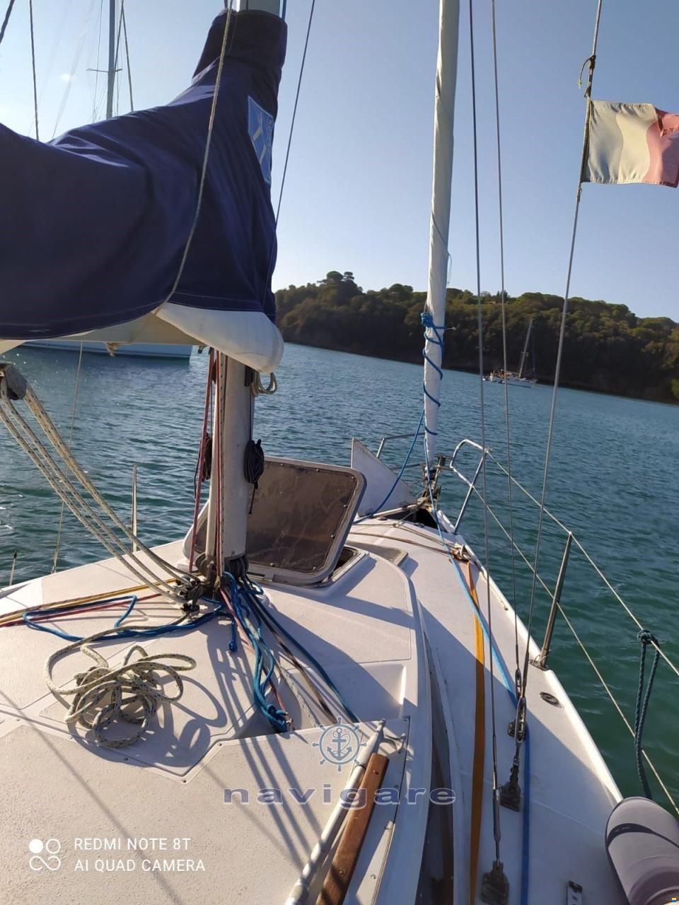 Zuanelli MILLER 31