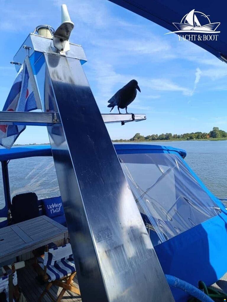 Neptunus 131 Fly