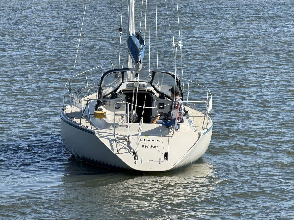 Dehler Optima 101