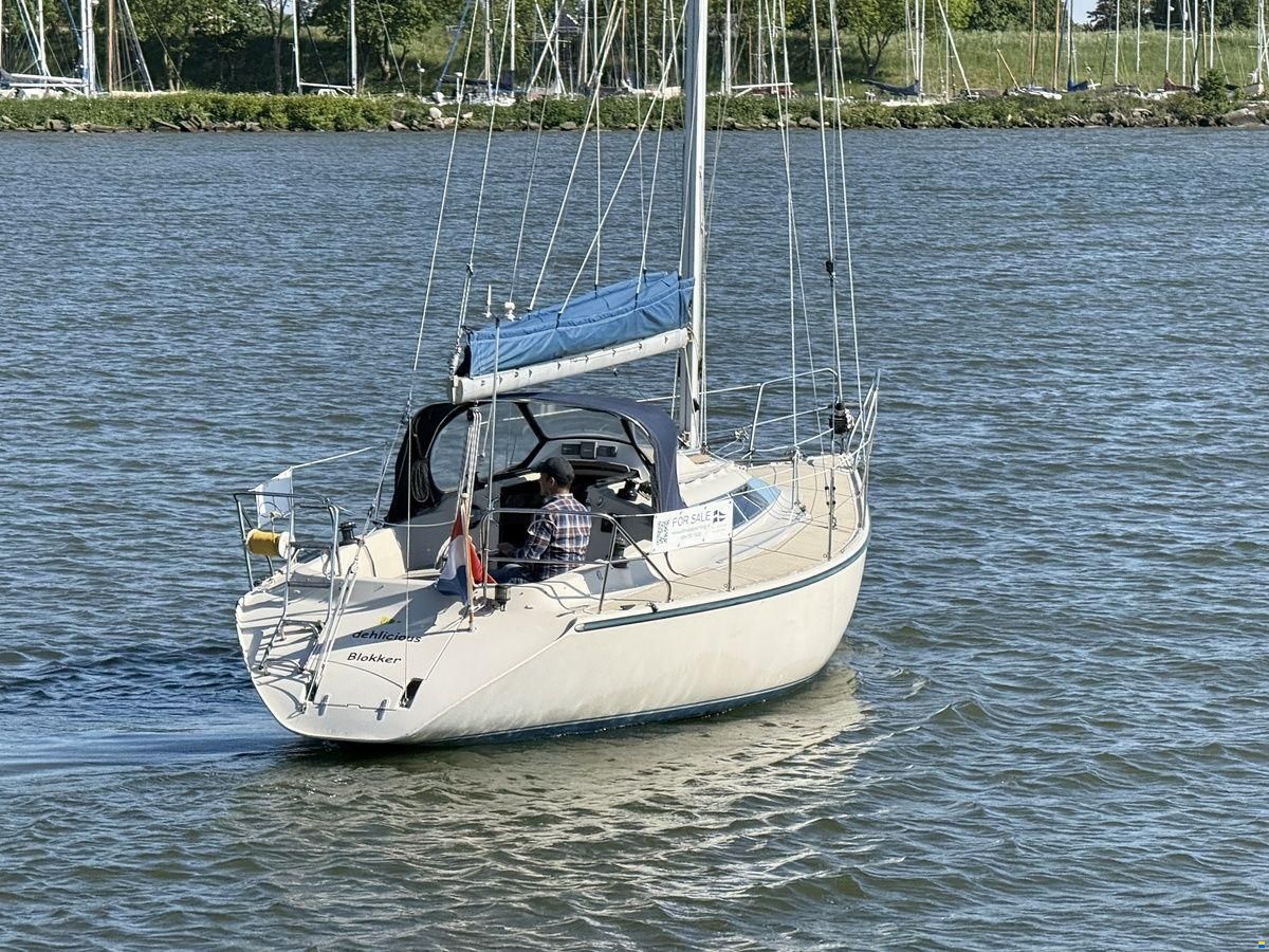 Dehler Optima 101