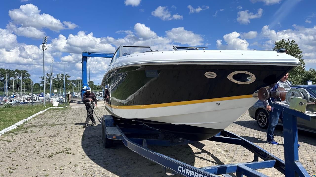 Cobalt 232