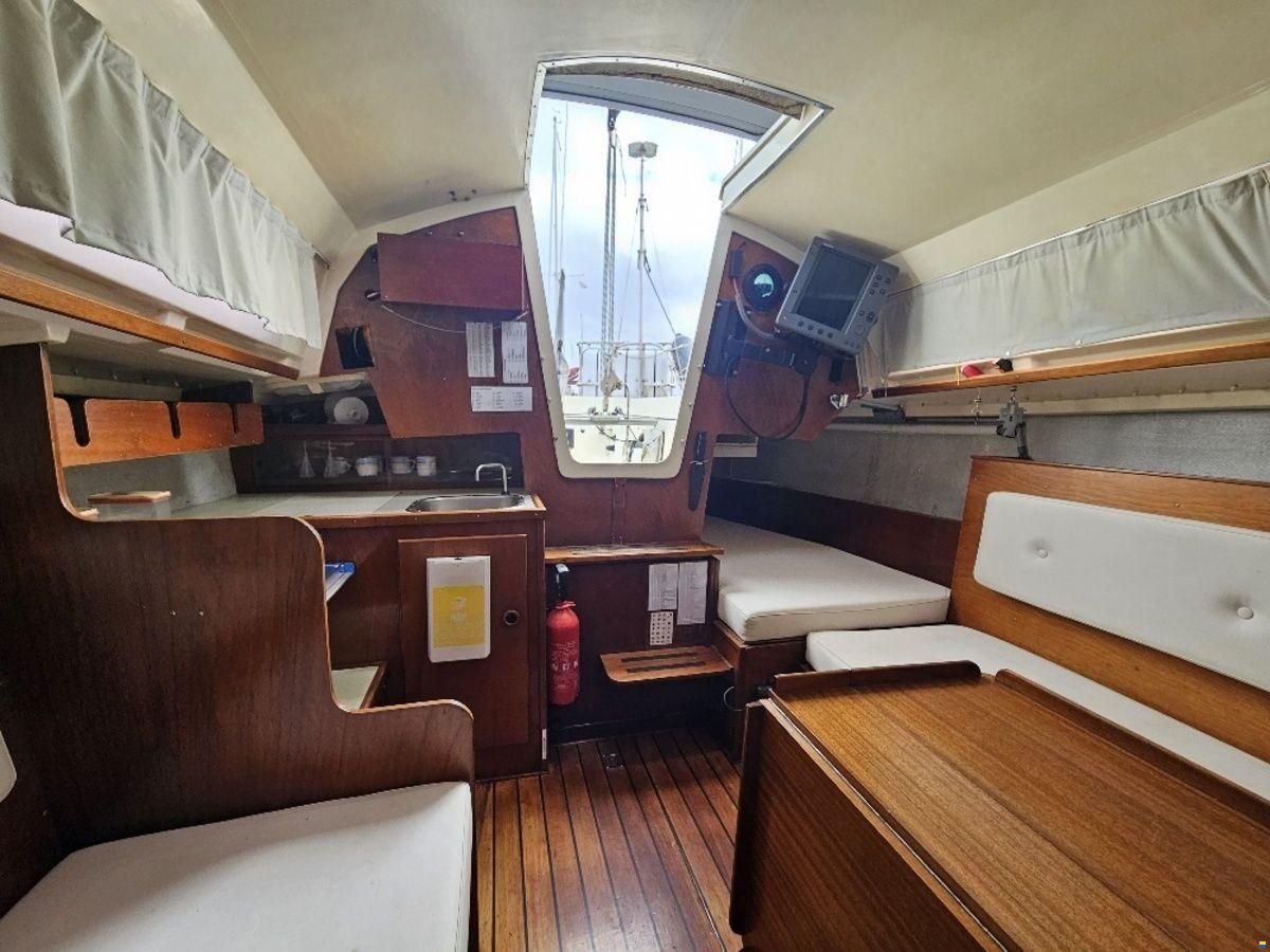 Sturgeon 28