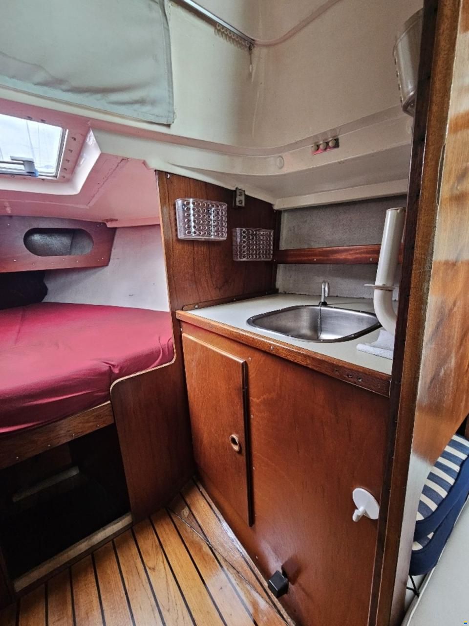 Sturgeon 28