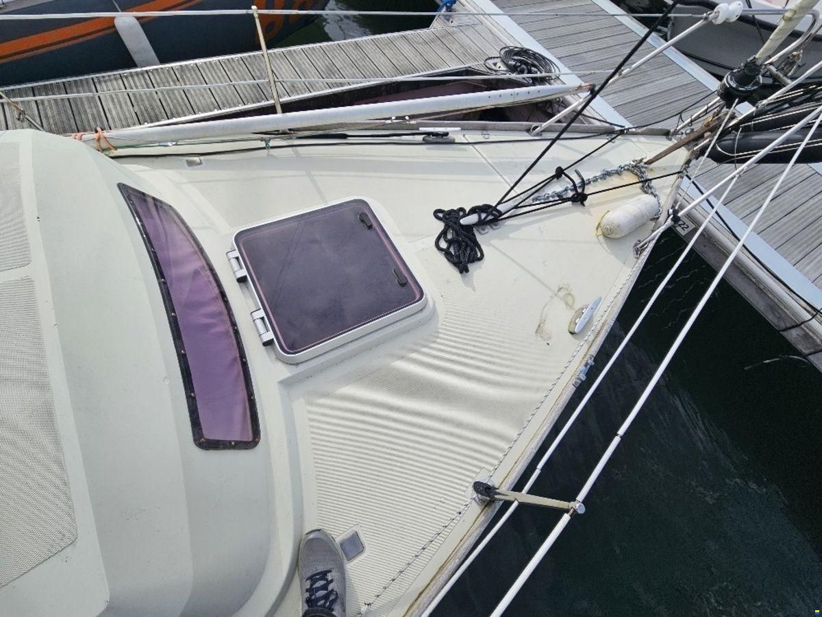 Sturgeon 28