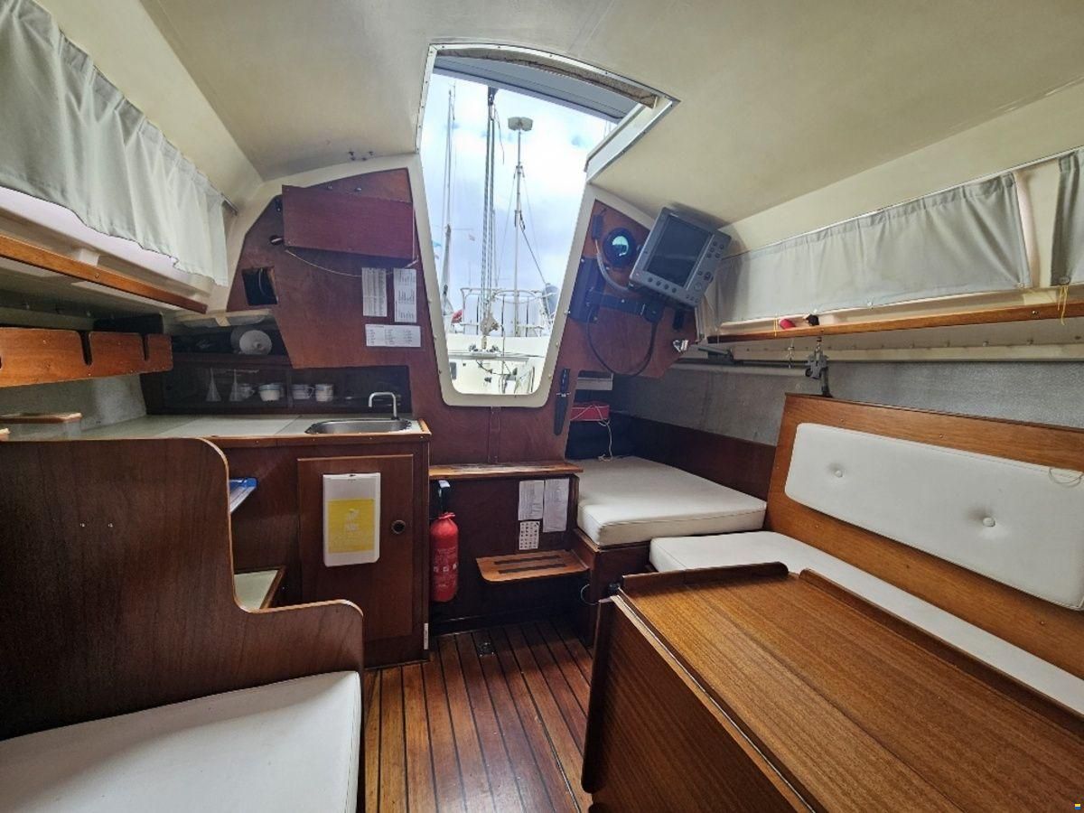 Sturgeon 28