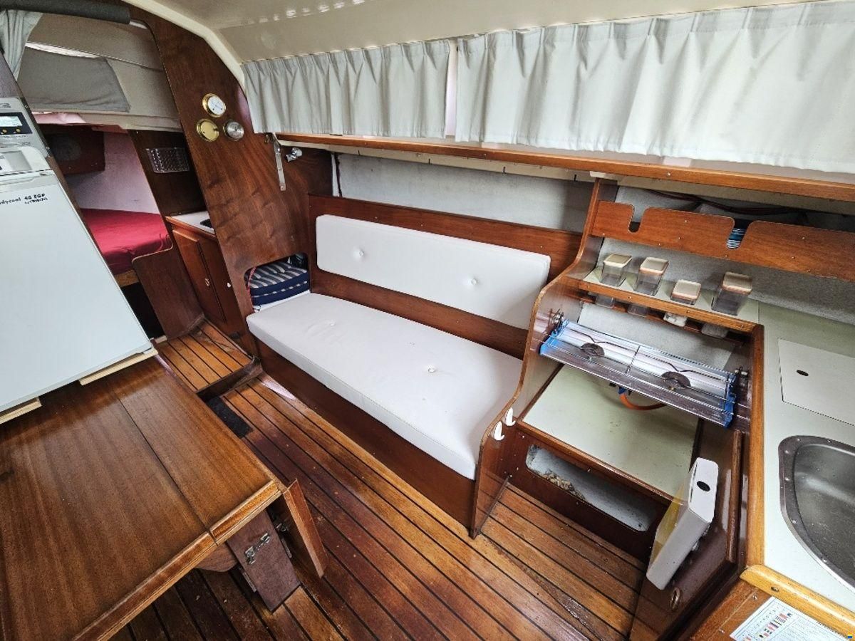 Sturgeon 28