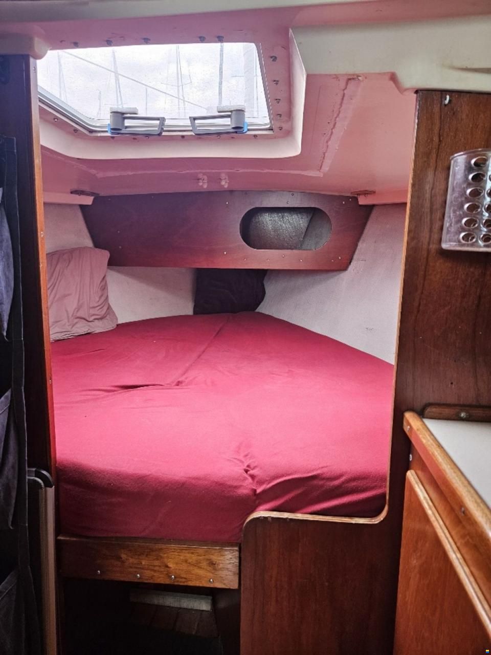 Sturgeon 28