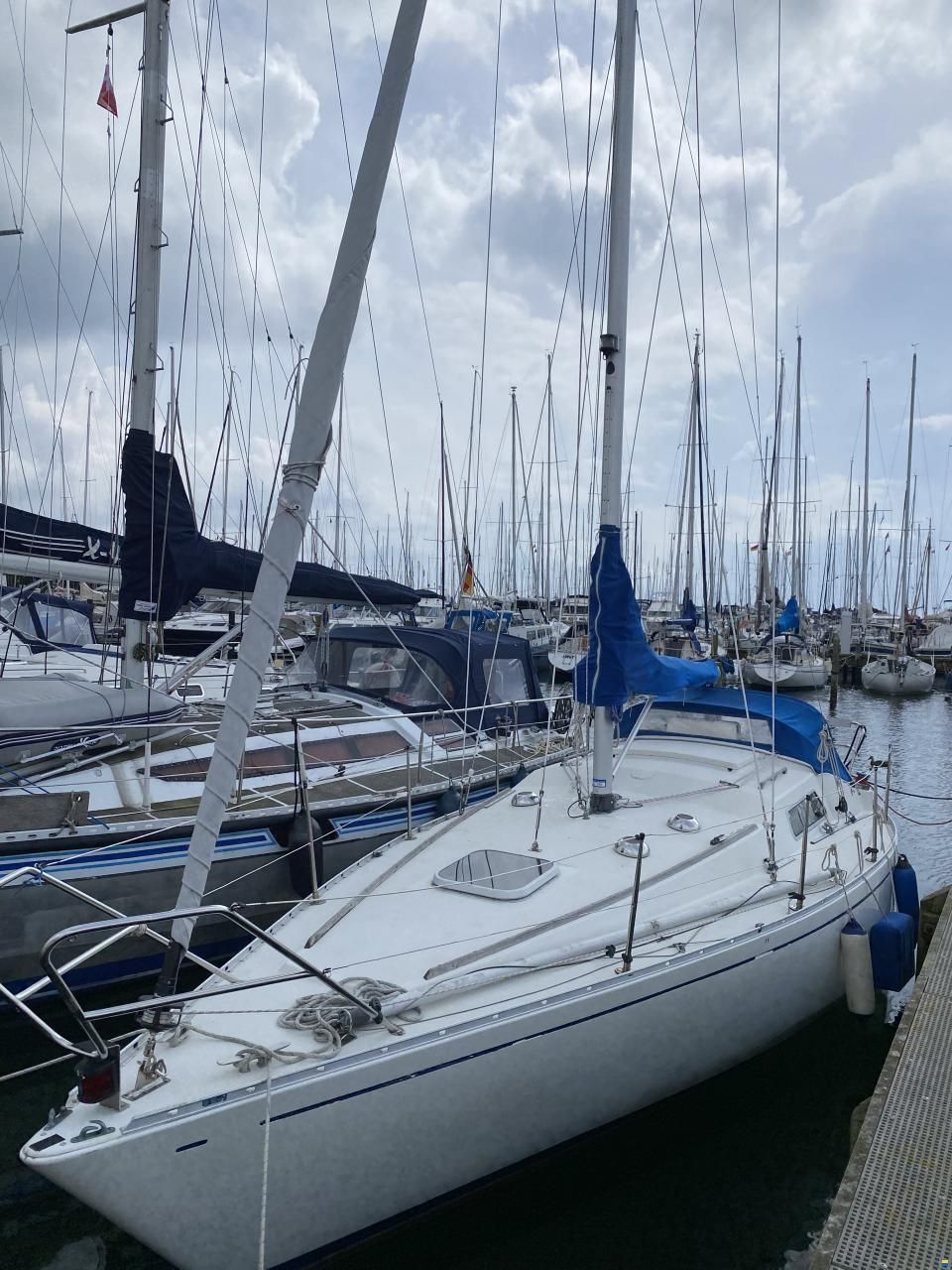Albin Scampi 30