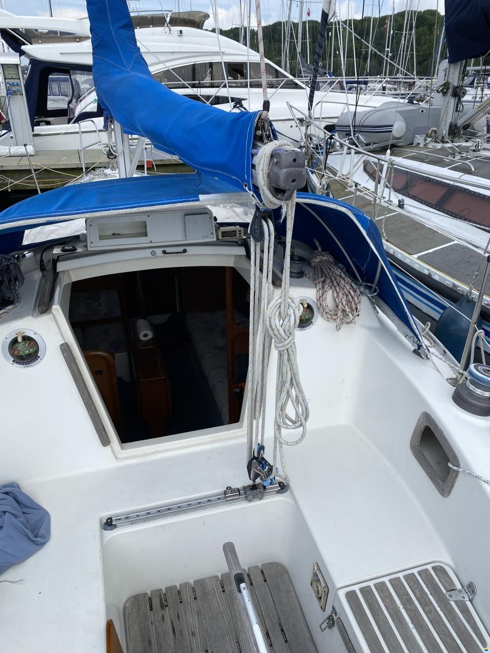 Albin Scampi 30