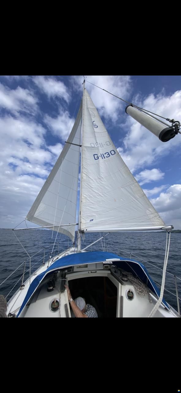 Albin Scampi 30