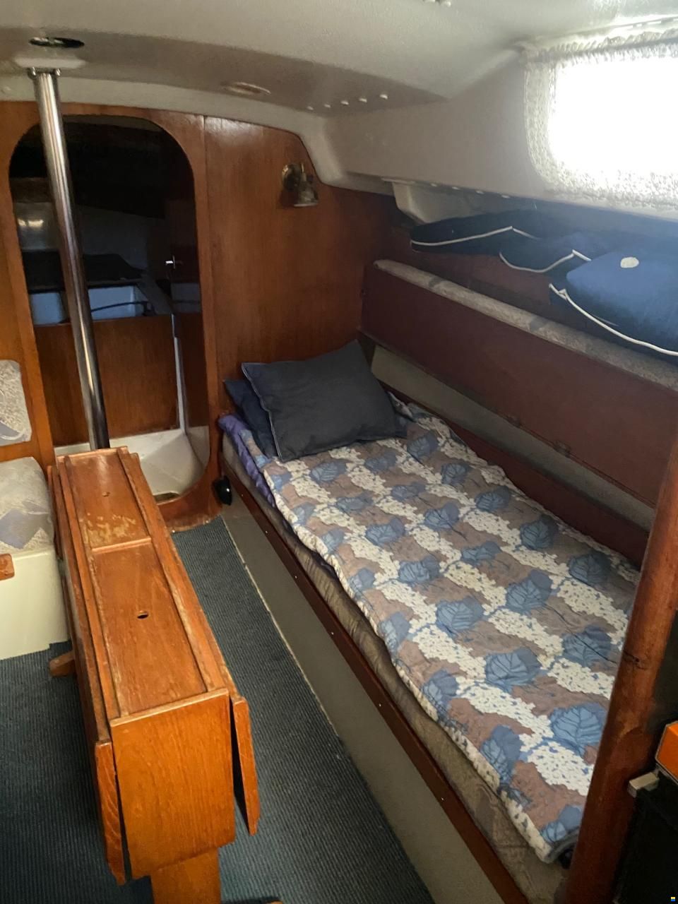 Albin Scampi 30