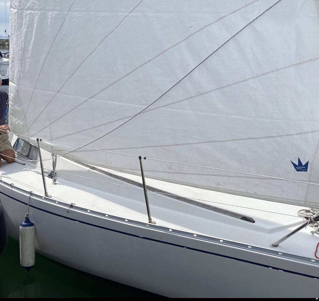 Albin Scampi 30