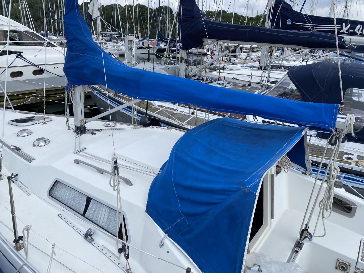 Albin Scampi 30