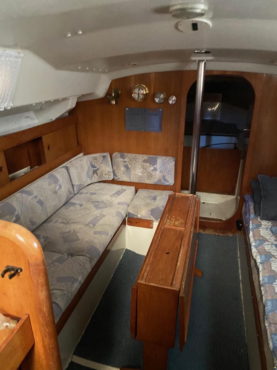 Albin Scampi 30
