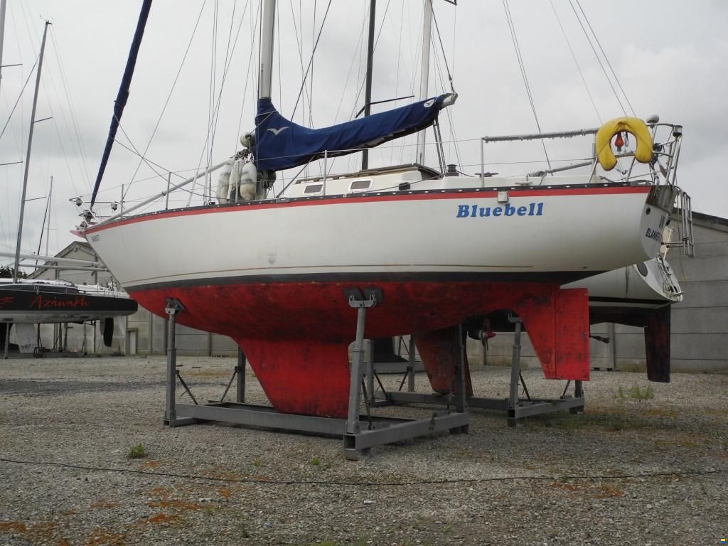 Van Raemdonck ANN