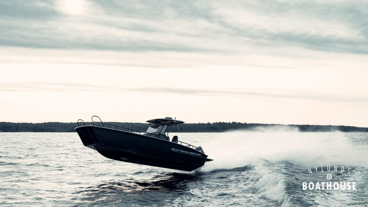 Brizo 800 Pro
