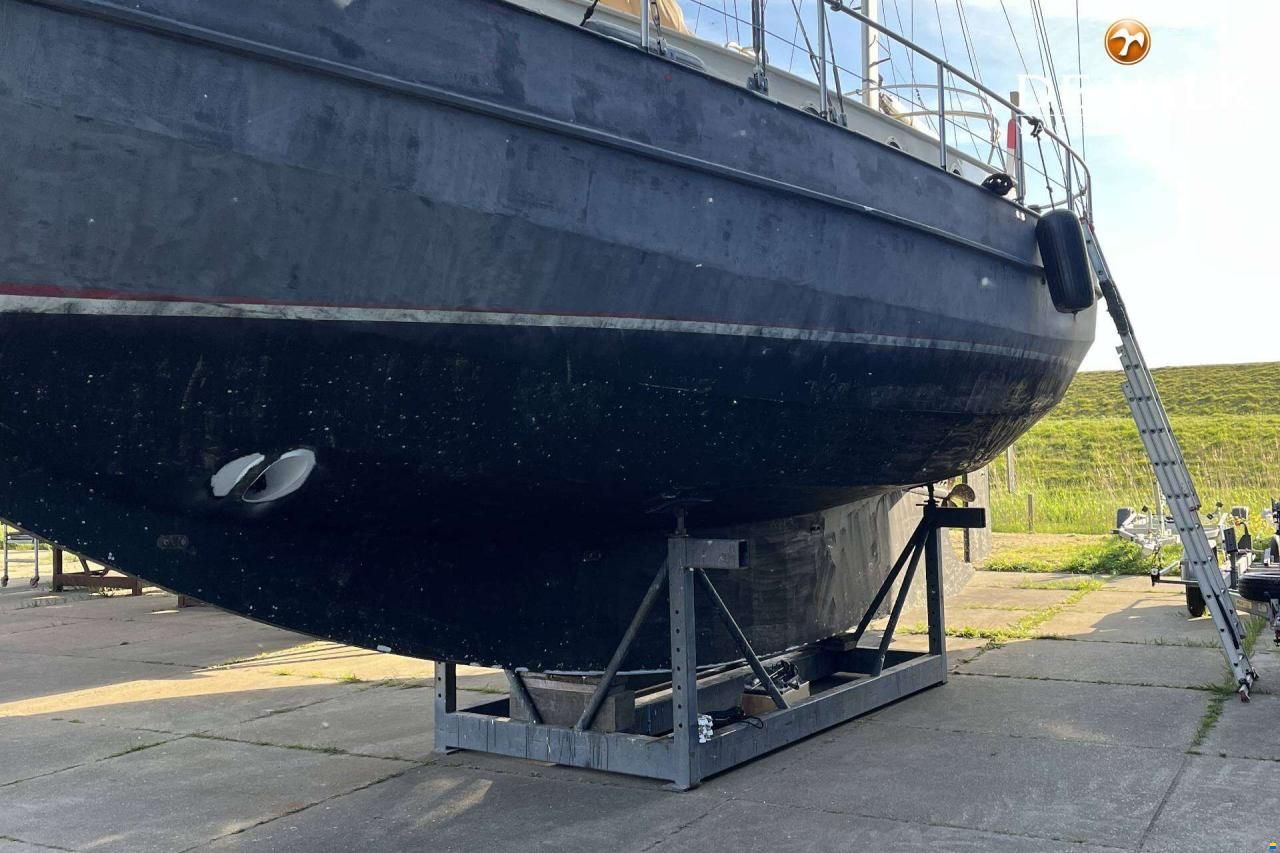 Danish Rose 42