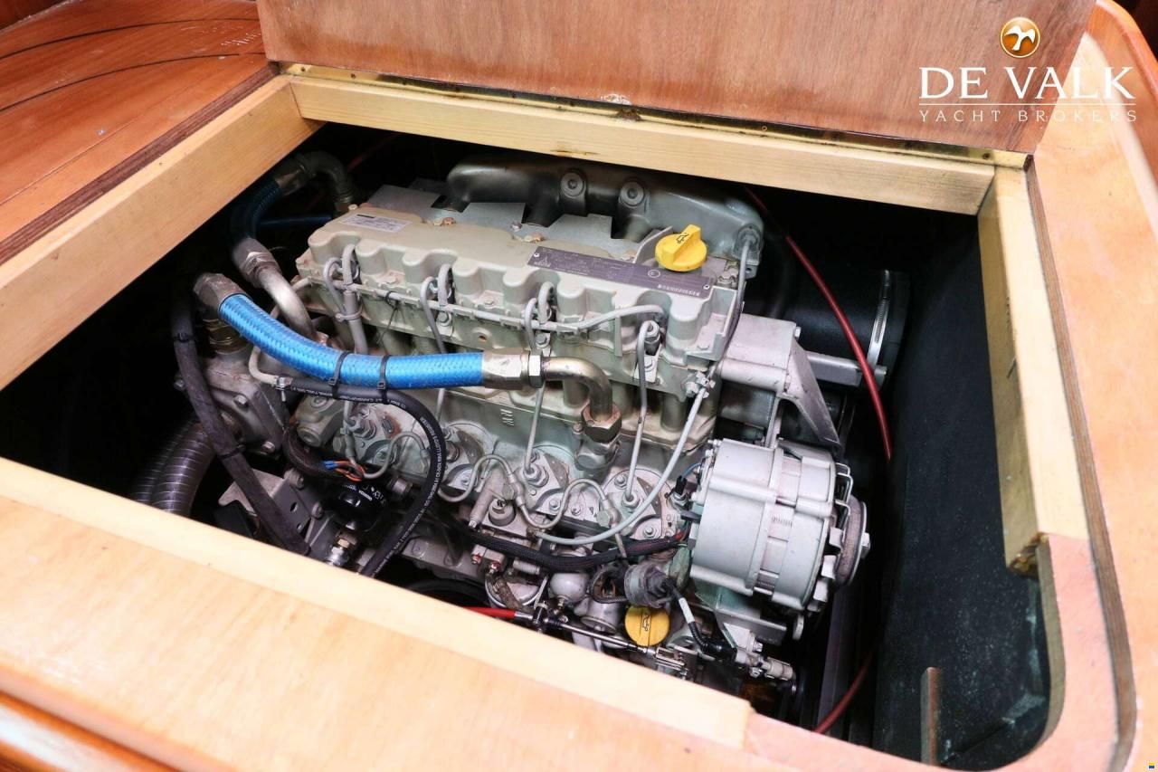 Danish Rose 42