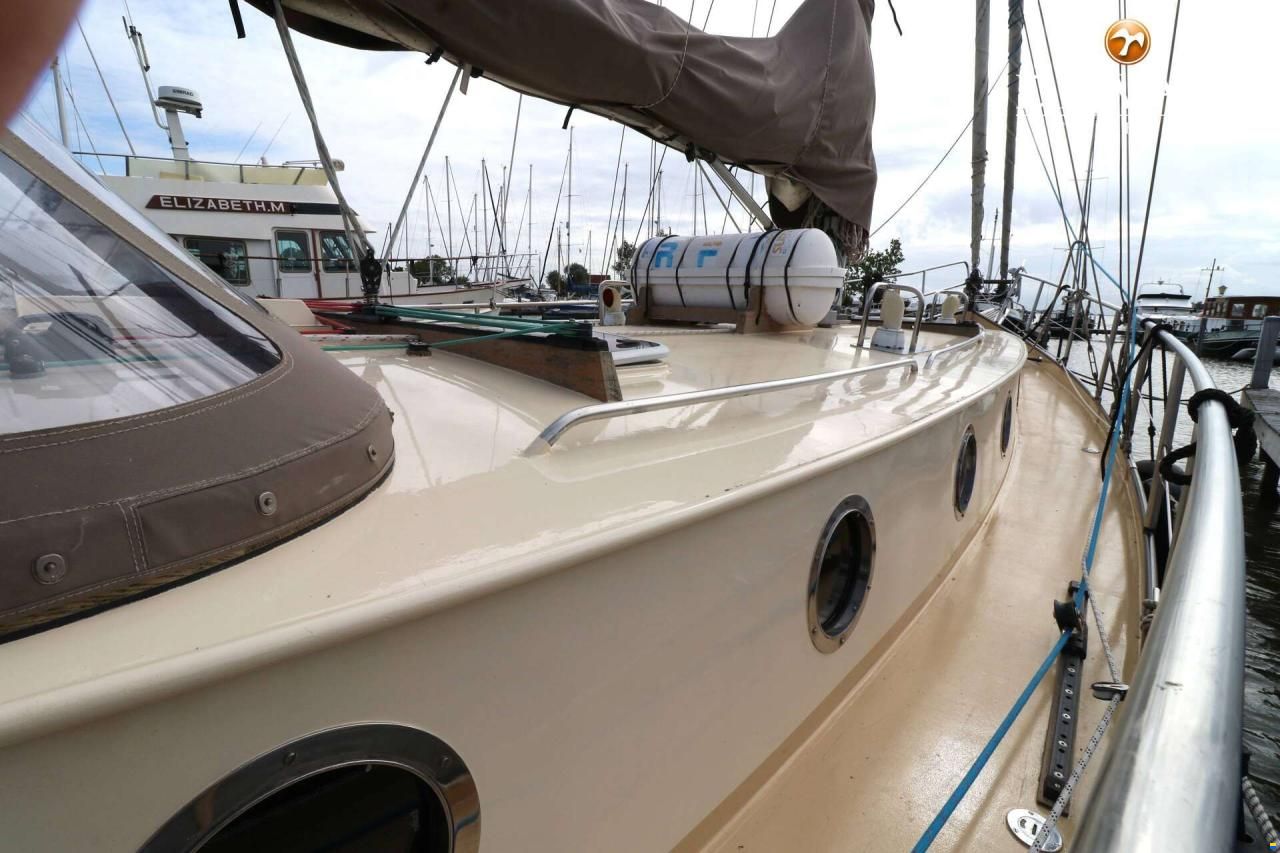 Danish Rose 42