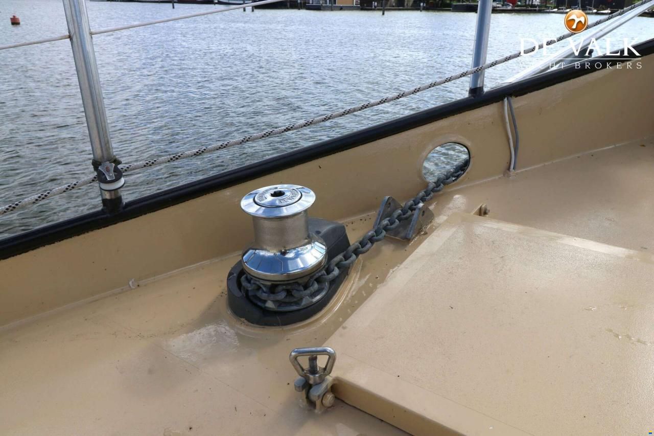 Danish Rose 42