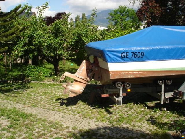 Tullio Abbate SEA STAR