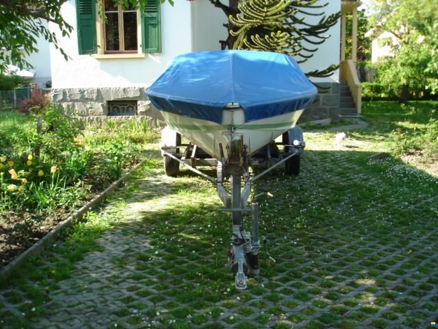 Tullio Abbate SEA STAR