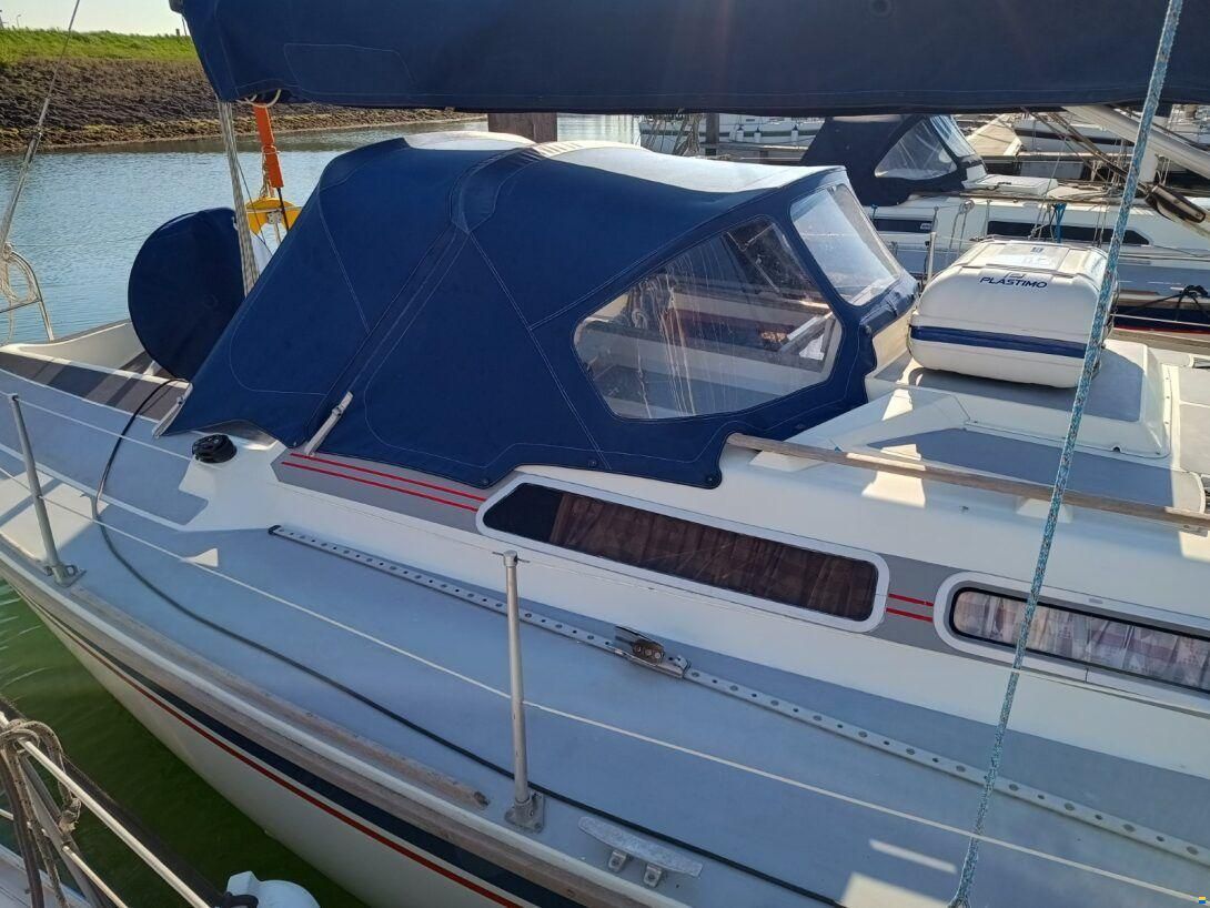 Westerly Typhoon 37