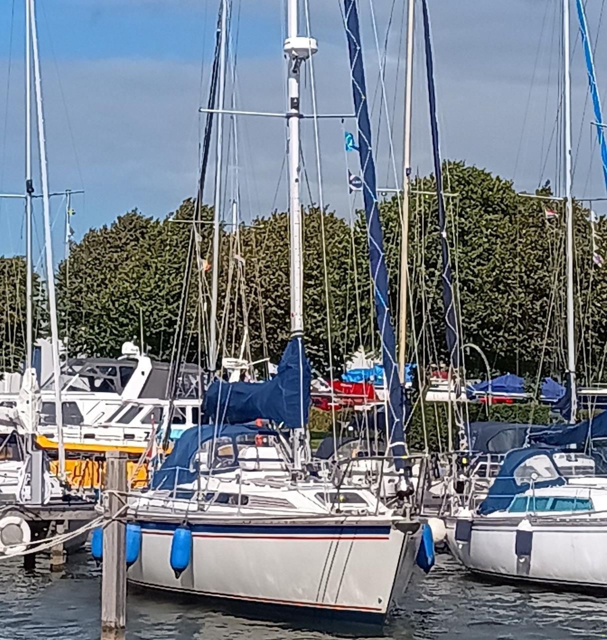Westerly Typhoon 37