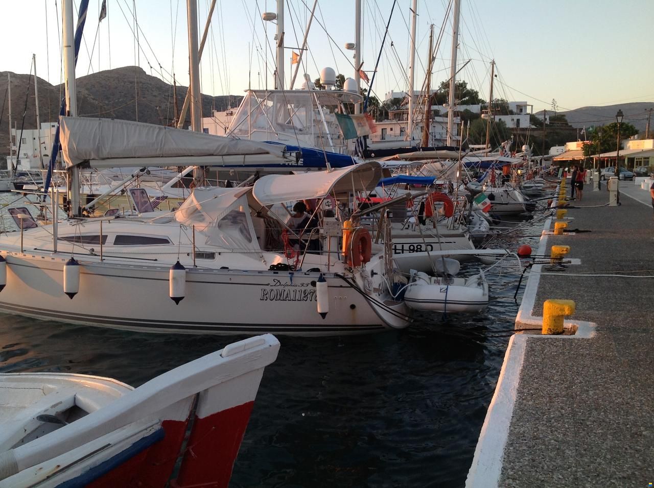 Delphia 33