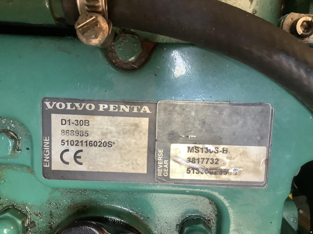 Delphia 33