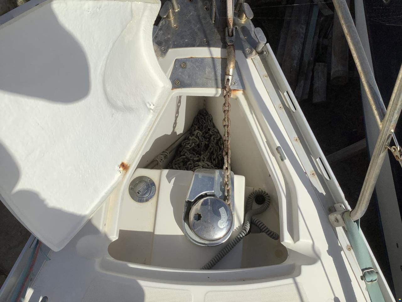 Delphia 33