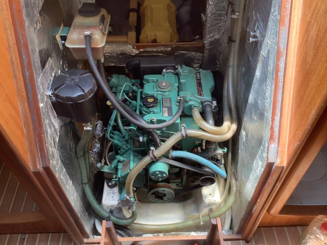 Delphia 33