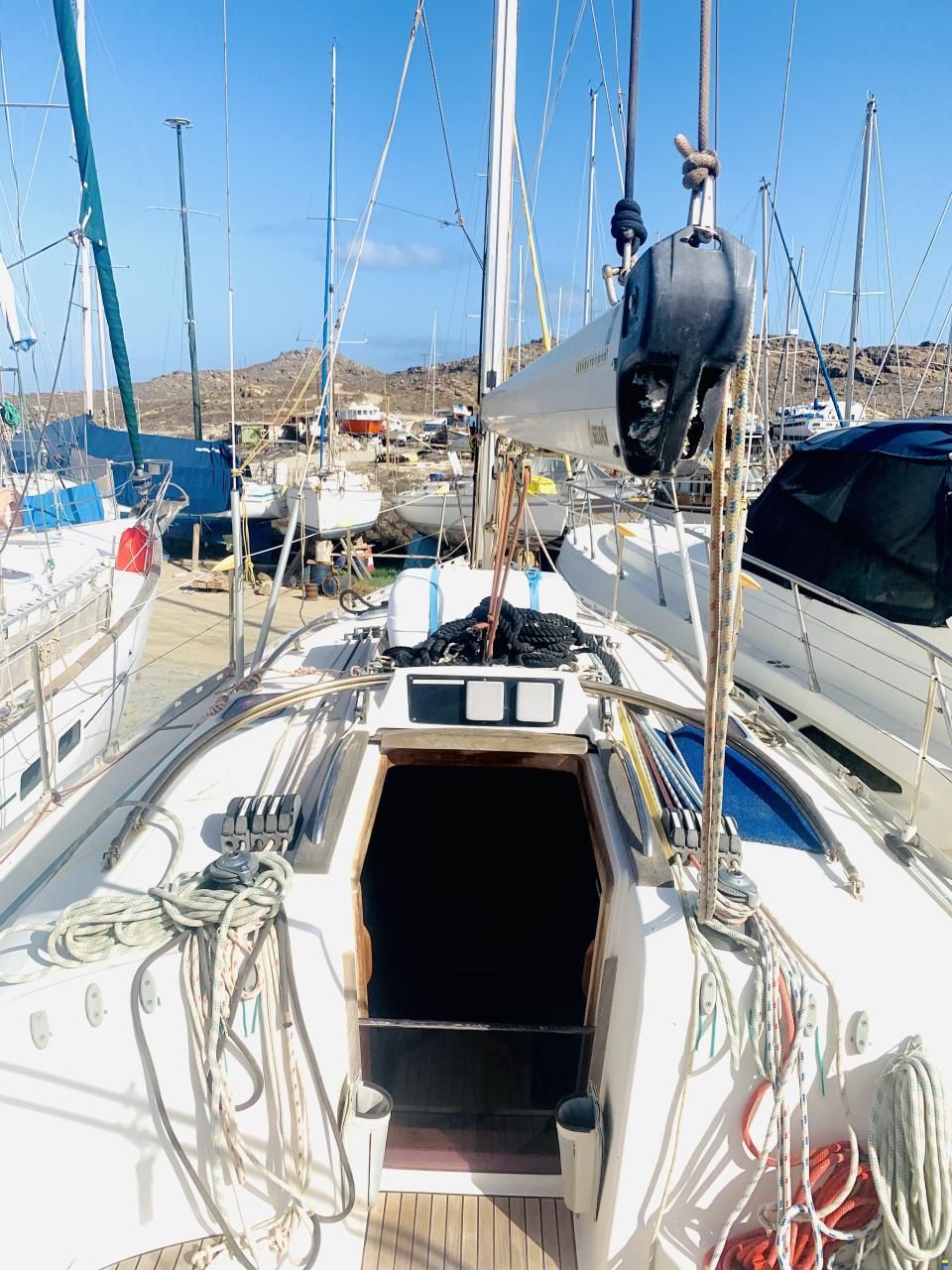 Delphia 33