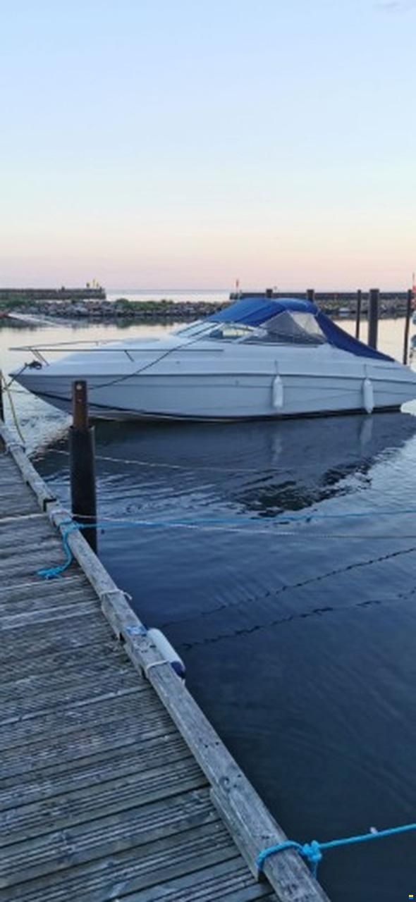 Chris Craft 228 Concept