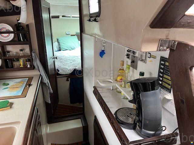 Playvisa CORONADO 35 CC