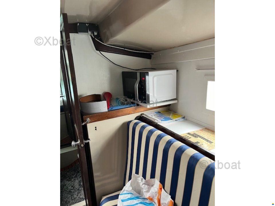 Playvisa CORONADO 35 CC