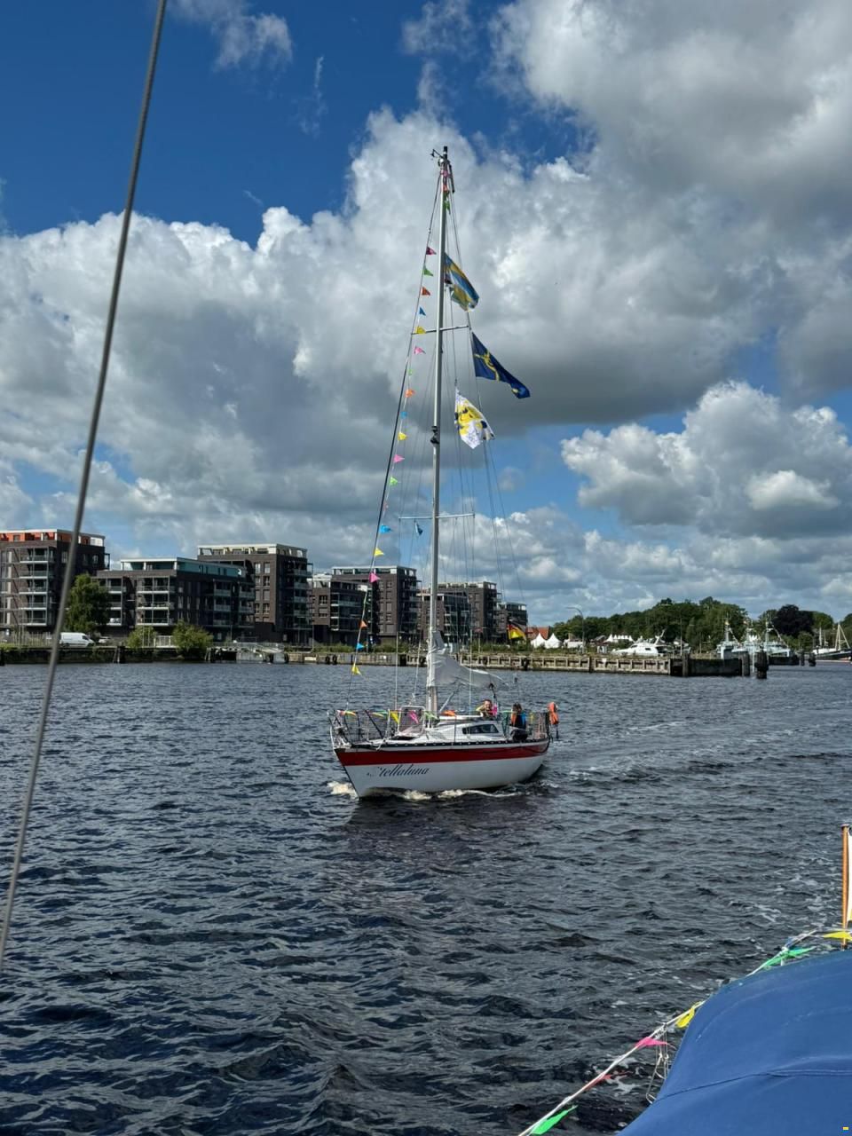 Helmsmann 31